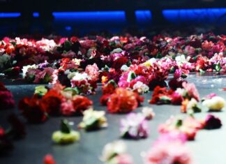 Πίστες – Αθήνα: Τα σχήματα του χειμώνα 2023 – 2024