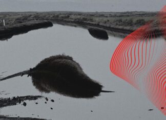 Undefined Shapes II: Σκάλα Καλονής – Λεσβος 3 & 4 Αυγούστου 2024