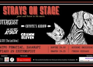 Strays on Stage | Συναυλία Ενίσχυσης Φιλοζωικού Συλλόγου Αιγιαλείας | 29.09.24, Θέατρο Ρεματιάς