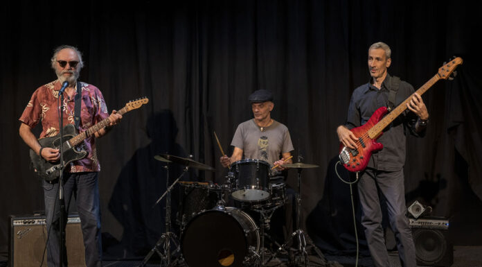 Blues Connoisseurs (Andreas Gomozias Trio) από την Παρασκευή 25 Οκτωβρίου στο Theatre Of The No