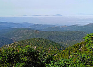 Xmas Action Fun Hike στην Πάρνηθα, Γύρος Κορυφών | Κυριακή 22/12/2024