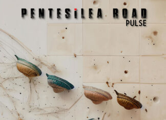 Οι Ιταλοί PENTESILEA ROAD παρουσιάζουν το single “Pulse” από το επερχόμενο δεύτερο full-length album τους. Οι Ιταλοί PENTESILEA ROAD παρουσιάζουν το single “Pulse”