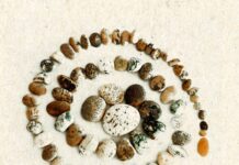 Κυκλοφορεί από τις ΑΩ Εκδόσεις το νέο βιβλίο της Όλγας Πατσούρα Λένη «ανίΝ» Κυκλοφορεί από τις ΑΩ Εκδόσεις το νέο βιβλίο της Όλγας Πατσούρα Λένη «ανίΝ».