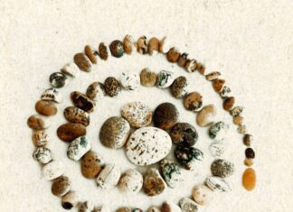 Κυκλοφορεί από τις ΑΩ Εκδόσεις το νέο βιβλίο της Όλγας Πατσούρα Λένη «ανίΝ» Κυκλοφορεί από τις ΑΩ Εκδόσεις το νέο βιβλίο της Όλγας Πατσούρα Λένη «ανίΝ».