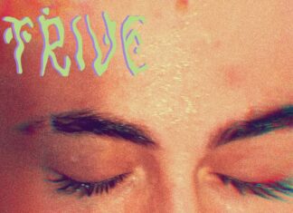 Demetria: «ΣΤΡΙΒΕ» (STRIVE) – Ένα indie pop μανιφέστο για τη διάσωση της εσωτερικής παιδικότητας Demetria ΣΤΡΙΒΕ STRIVE single cover Puzzlemusik