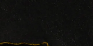 Black Reuss: «Death» – Μια μυσταγωγική κριτική για το κλείσιμο ενός κύκλου Black Reuss Death review