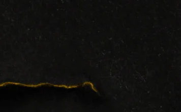 Black Reuss: «Death» – Μια μυσταγωγική κριτική για το κλείσιμο ενός κύκλου Black Reuss Death review