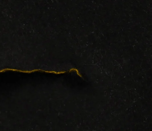 Black Reuss: «Death» – Μια μυσταγωγική κριτική για το κλείσιμο ενός κύκλου Black Reuss Death review