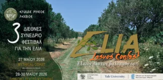 3ο ELIA Lesvos Confest 2026: Το Διεθνές Φεστιβάλ Ελιάς επιστρέφει στη Λέσβο