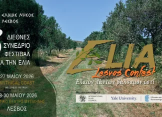 3ο ELIA Lesvos Confest 2026: Το Διεθνές Φεστιβάλ Ελιάς επιστρέφει στη Λέσβο