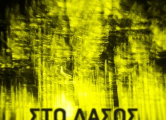 Νάσος Αρώνης: Κυκλοφόρησε το Νέο του Άλμπουμ «Στο Δάσος» Νάσος Αρώνη Στο δάσος