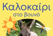 Το καλοκαίρι στη Βαμβακού έχει σχέδιο: Αλέξανδρος Τσουβέλας, τζαζ αυτοσχεδιασμοί, κεντήματα και αστροπαρατήρηση στον Πάρνωνα