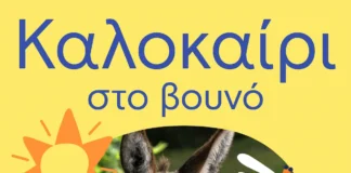 Το καλοκαίρι στη Βαμβακού έχει σχέδιο: Αλέξανδρος Τσουβέλας, τζαζ αυτοσχεδιασμοί, κεντήματα και αστροπαρατήρηση στον Πάρνωνα