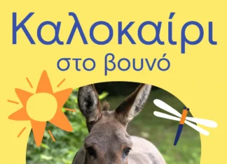 Το καλοκαίρι στη Βαμβακού έχει σχέδιο: Αλέξανδρος Τσουβέλας, τζαζ αυτοσχεδιασμοί, κεντήματα και αστροπαρατήρηση στον Πάρνωνα