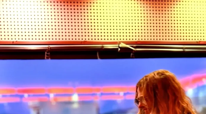 Η Ελένη Τσαλιγοπούλου ερμηνεύει το τραγούδι του Ζακ «Λύκου κραυγή»