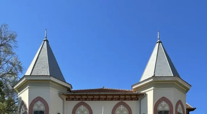 Διεθνής Συνάντηση Τέχνης Νέων της Μεσογείου